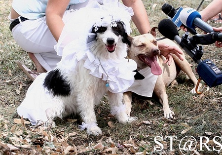 o-00060758-a-00006154